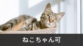 ねこちゃん可